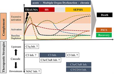 Targeting Complement Pathways in Polytrauma- and Sepsis-Induced Multiple-Organ Dysfunction